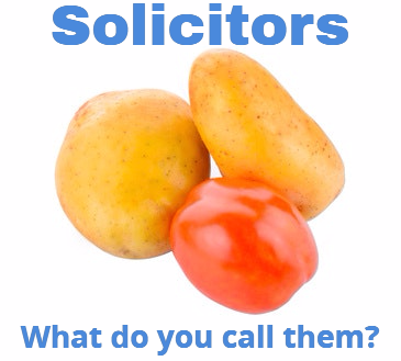 Solicitors: What Do You Call Them On Your Law Firm Website?