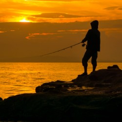 With Solicitor Review Website You Fish Where Others Are Fishing